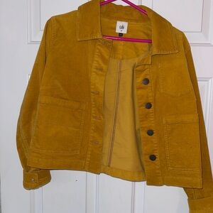 CAbi Women's Golden Utility Jacket